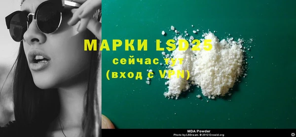прущие грибы Туринск