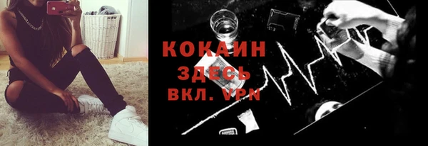 прущие грибы Туринск