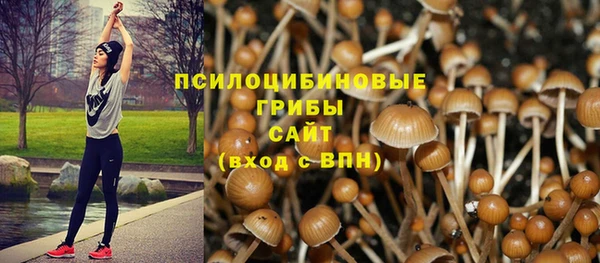 меф Володарск
