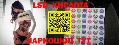 шишки Отрадный