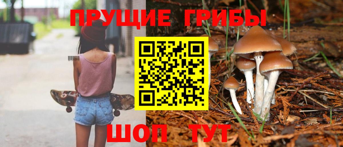 Псилоцибиновые грибы мицелий  Вход с VPN  Галлюциногенные грибы Magic Shrooms  Мариинск 